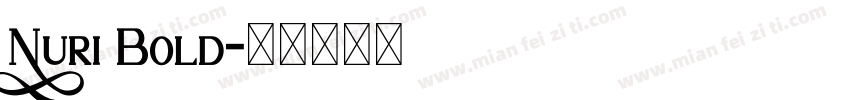 Nuri Bold字体转换